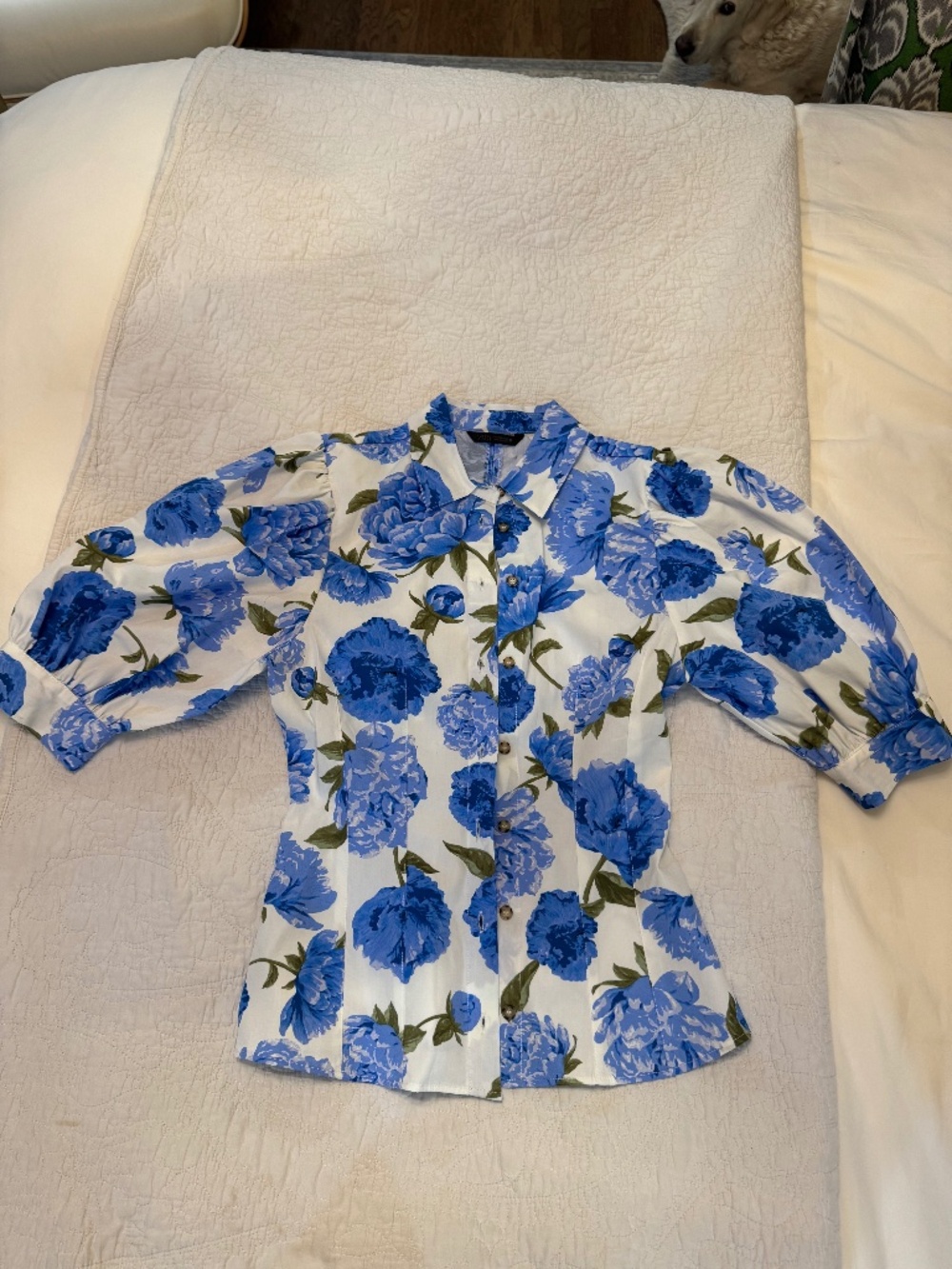 Zara blouse with blue hydrangeas
